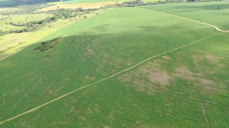 Imagem Fazenda à Venda em Santa Cruz de Goiás – Dupla Aptidão!