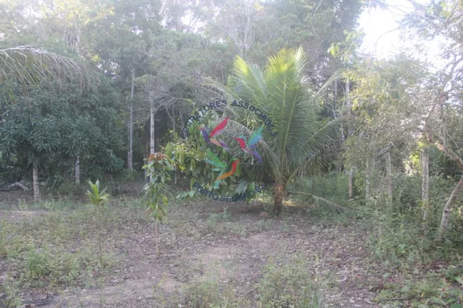 Imagem SÍTIO EM TRANCOSO - PORTO SEGURO - BAHIA