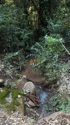 Imagem Chácara - Sítio com 3 Dormitorio(s) localizado(a) no bairro Linha Ávila em Gramado / RIO GRANDE DO SUL Ref.:1445