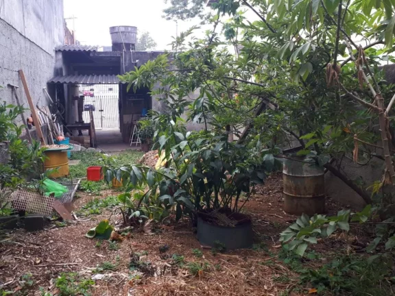 Imagem Terreno com salão em Perus