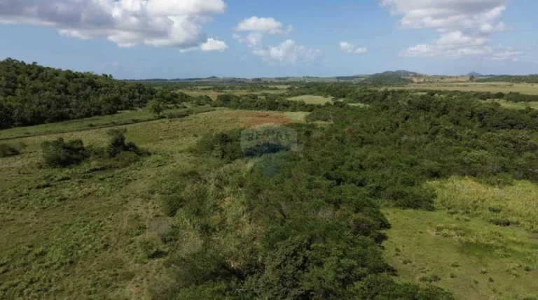 Imagem Fazenda à Venda, 1.449.875 m² em Zona Rural - Anchieta