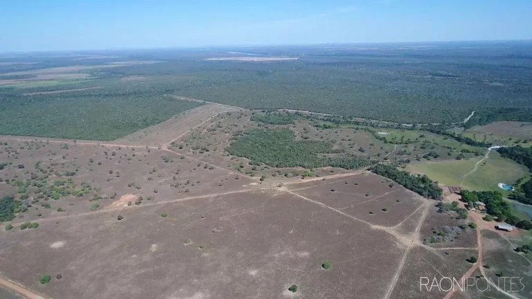 Imagem Fazenda à Venda, 46.464.000 m² em Zona Rural - Peixe