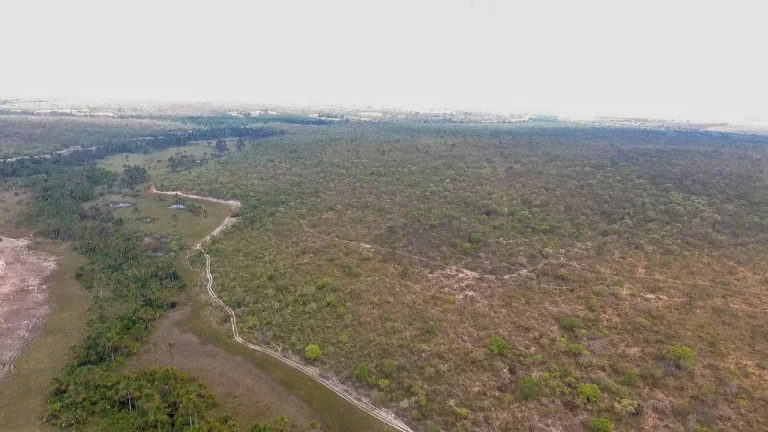 Fazenda à Venda, 5.050.000 m² em área Rural - Alvorada Do Norte