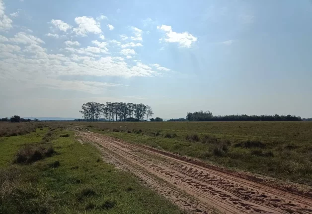 Fazenda à Venda – 583 Hectares – Viamão/RS