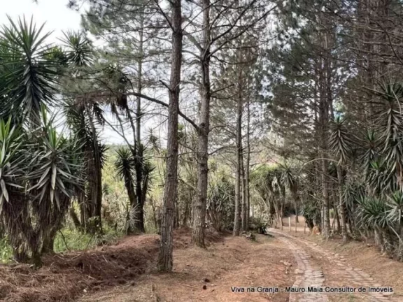 Imagem Km 36 Rap. Tavares - Área para Incorporação (loteamento / condomínio) 18.455m²
