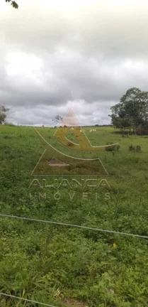 Imagem Fazenda - Guaraí - Guaraí