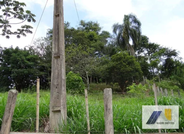 Imagem Chácara com 4 Quartos à Venda, 223 m² em Centro - Borda Da Mata