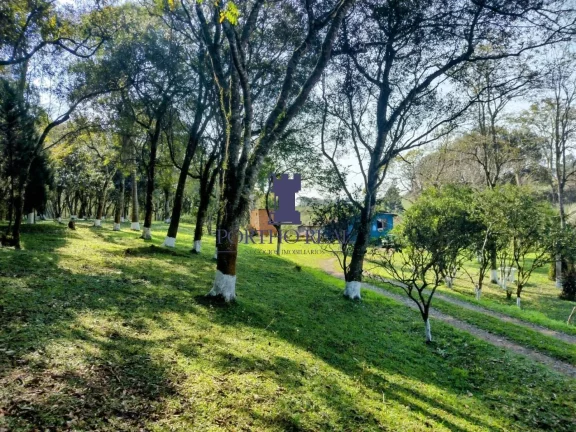 Imagem ÁREA EM BALSA NOVA COM 13.530,10M²