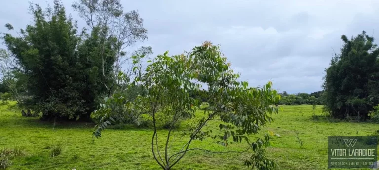 Imagem Terreno de 155.876m² à Venda na Praia da Tereza