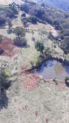 Imagem Chacara de 1,5 alqueires à venda localizado no Distr. de São Roque Sta Helena -