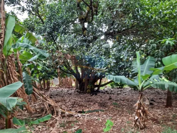 Imagem Chácara - Ribeirão Preto - Bonfim Paulista - Região Sul