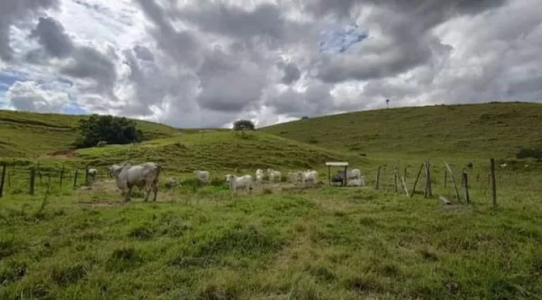 Imagem Fazenda em Macaé - RJ, Área rural