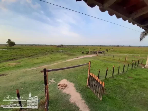 Imagem FAZENDA A VENDA NO RURAL MARGEM DO RIO CAMARÁ