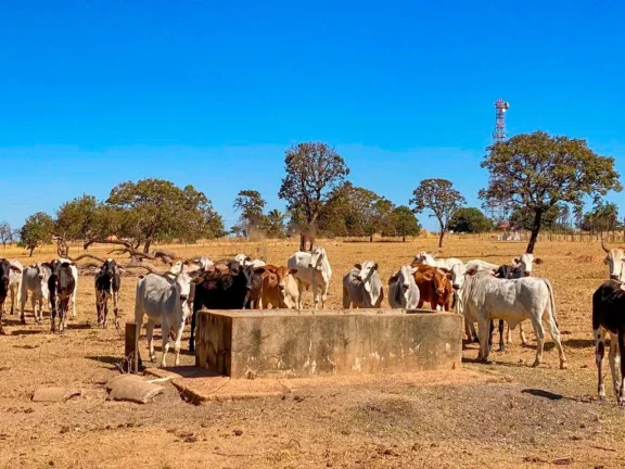 Imagem Fazenda à Venda, 500.000 m² em Zona Rural - Luziânia