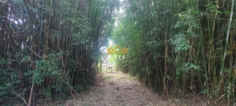 Imagem Chácara - Sítio com 1 Dormitorio(s) localizado(a) no bairro Recosta em São Francisco de Paula / RIO GRANDE DO SUL Ref.:1538