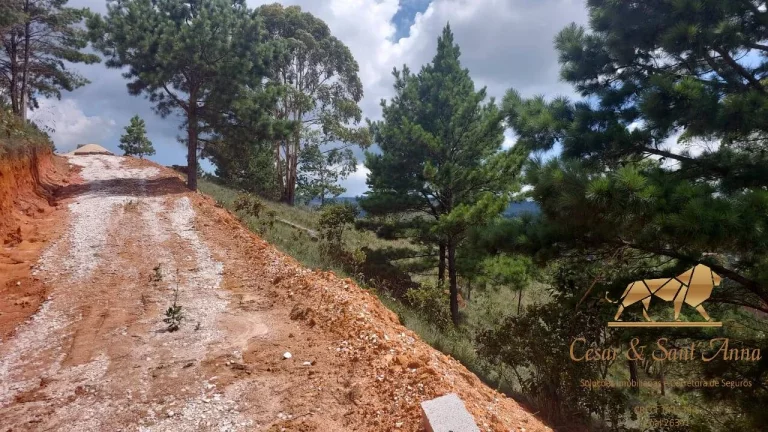 Imagem TERRENOS A VENDA EM CAMPOS DO JORDÃO-SP COM 1000M² CADA