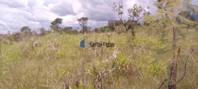Imagem Chácara para Venda em Brasília, Setor Habitacional Tororó (Jardim Botânico)