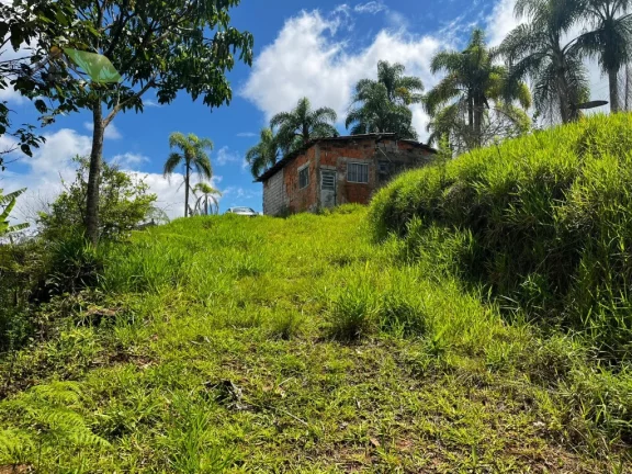 Imagem Chácara com 2 Quartos à Venda, 36.000 m² em Sabaúna - Mogi Das Cruzes