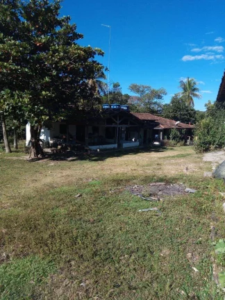 Imagem Fazenda à Venda em Faina - 237 Alqueires de Oportunidade!