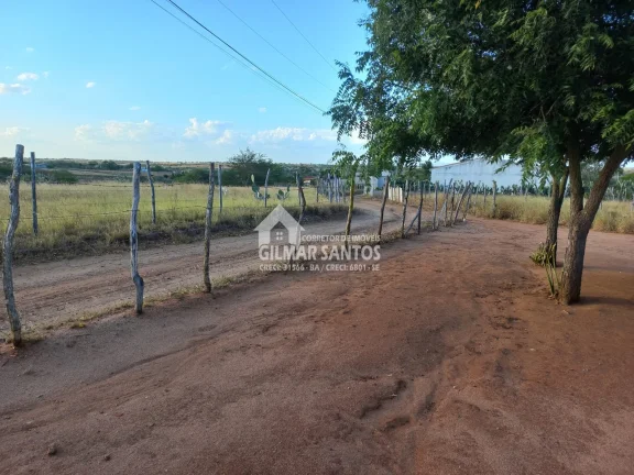 Imagem Fazenda/Sítios/Chácaras no bairro zona rural, em Coronel João Sá