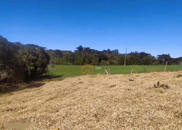 Imagem SITIO RURAL em PITANGA - PR, Rural