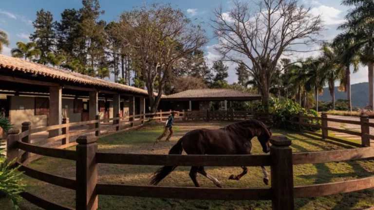 Imagem Condomínio rural com lazer completo perto de BH