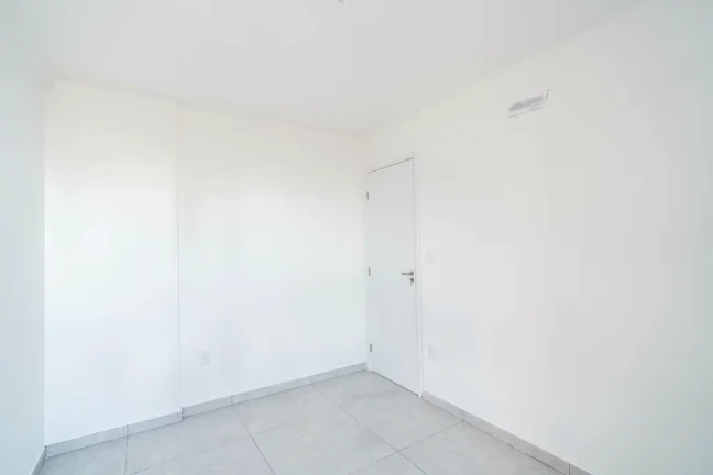 Imagem Corais do Atlântico