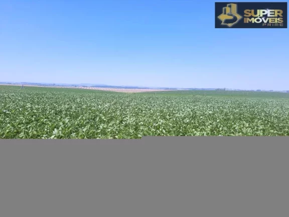 Imagem Fazenda de Excelência no RS 2.100 hectares Cachoeira do Sul
