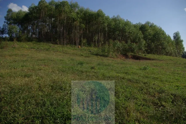 Imagem Sítio 13,5 alqueires R$ 150.000 valor do alqueire, excelente estrutura, planta milho, soja, tem 2.000 pés de mexerica - Jacuí - Minas Gerais