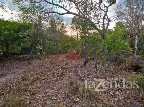 Imagem Fazenda à Venda, 17.000 m² em Zona Rural - Alto Parnaíba