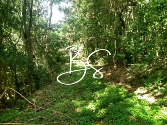 Imagem SITIO RESIDENCIAL em TRÊS COROAS - RS, Linha 28
