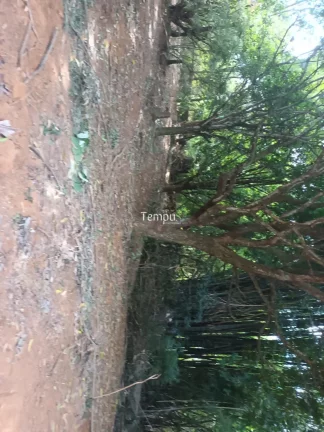 Imagem Chácara Jardim Cristal