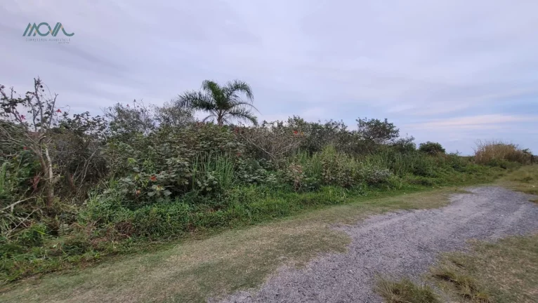 Imagem Dois Terrenos juntos - Beira mar - Com laudo ambiental permitindo construção