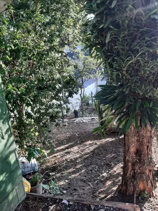 Imagem Casa Antiga 3 Dormitorios sendo 1 Suite Terreno de 10 x 40 Estuda Permuta