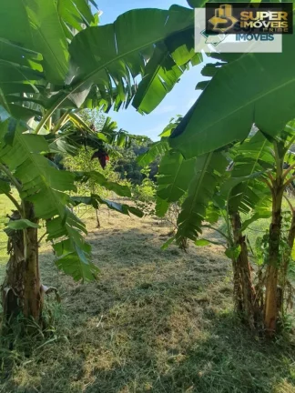 Imagem Chácara 3 hectares para Venda na BR em Cascata Pelotas-RS