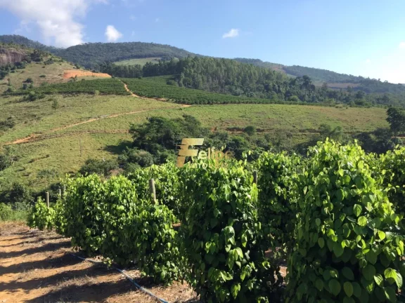 Imagem Fazenda de aproximadamente 50 alqueires.