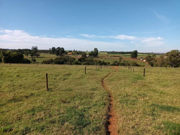 Imagem FAZENDA AVARÉ-SP