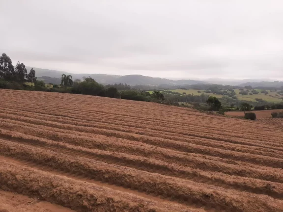 Imagem OPORTUNIDADE ÚNICA!!! 12 Hectares, Linha Doutor Flores, Sertão Santana
