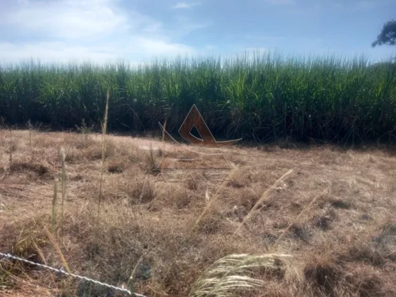 Imagem Sítio - Santo Antônio da Alegria - Zona Rural