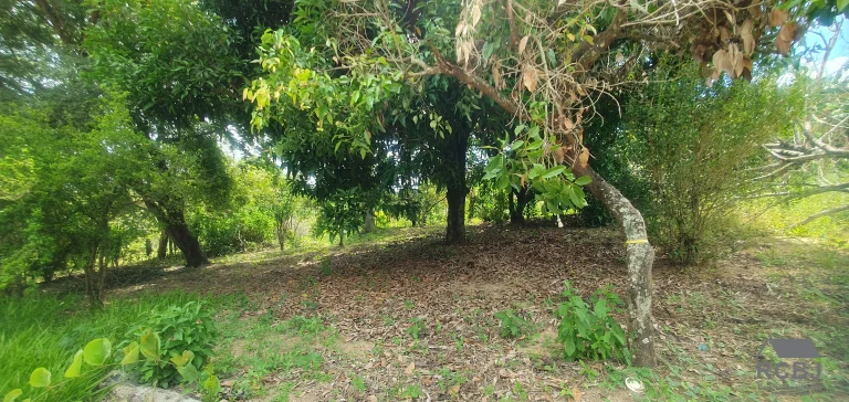 Imagem SITIO RURAL em ESMERALDAS - MG, VARGEM BENTO DA COSTA