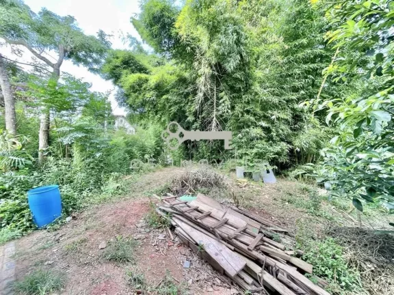 Imagem Área de 907,00 m² em Bolsão FECHADO no Miolo da Granja Viana !