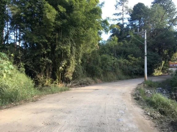 Imagem Área à venda, 5000 m² por R$ 180.000,00 - Fazenda Aya - Suzano/SP