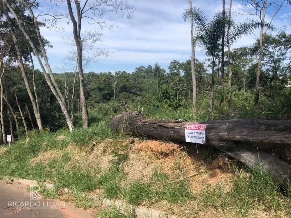 Imagem À venda: um lindo terreno plano de 378m² na encantadora cidade de Bom Jesus dos Perdões!