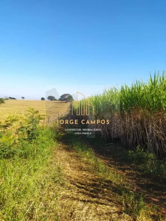 Imagem FA-25233 - FAZENDA À VENDA NA MESORREGIÃO DE RIO PRETO - SP