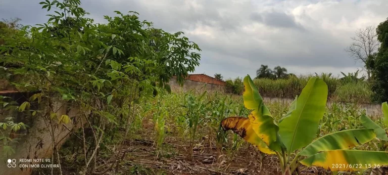 Imagem Terreno à Venda, 1.000 m² em Bosque Dos Eucaliptos - Araçoiaba Da Serra