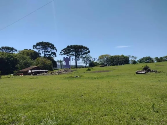 Imagem CHÁCARA COM 143.897M² NA REGIÃO DE BALSA NOVA