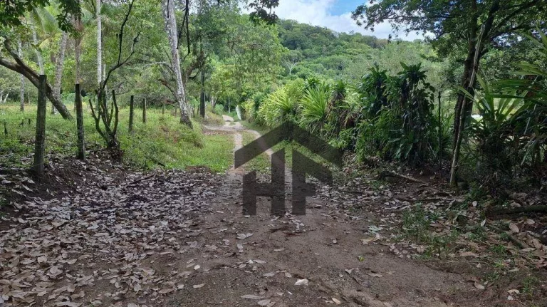 Imagem Chácara com 3 Quartos à Venda, 5.000 m² em Guabiraba - Recife