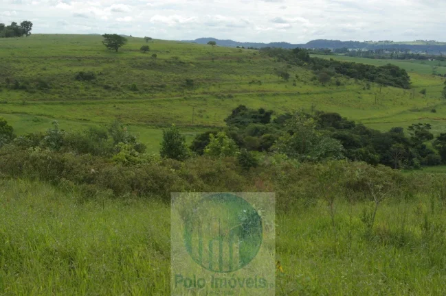 Imagem Fazenda em Cajuru 72 alqueires com soja, gado, braquiária e estrutura, 75 km de Ribeirão Preto - SP