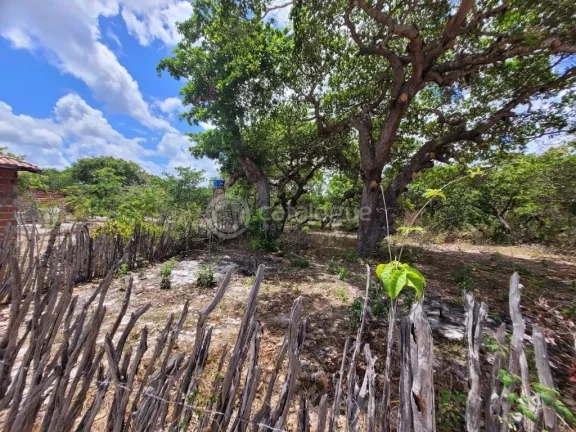 Imagem Sitio no Corrego do Moreira - Beberibe 6 Ha