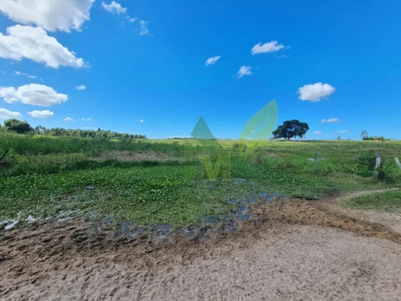 Imagem FAZENDA PEROBAS - OPORTUNIDADE ÚNICA DE INVESTIMENTO EM ARARUAMA/RJ